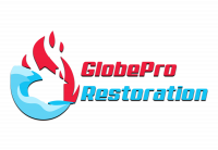 GlobePro Restoration
